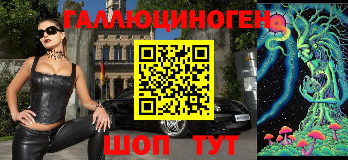 Семёнов  Псилоцибиновые грибы прущие грибы  Псилоцибиновые грибы Psilocybe  Вход с VPN 